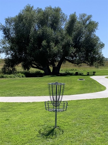 Disk_golf_2